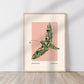 Night Moth, Insect Print, French, Vintage Art, Pink Print, Gallery Wall Print, Bedroom, A5, A4, A3, A2, A1, A0, Pink, Boho, Vintage Insect