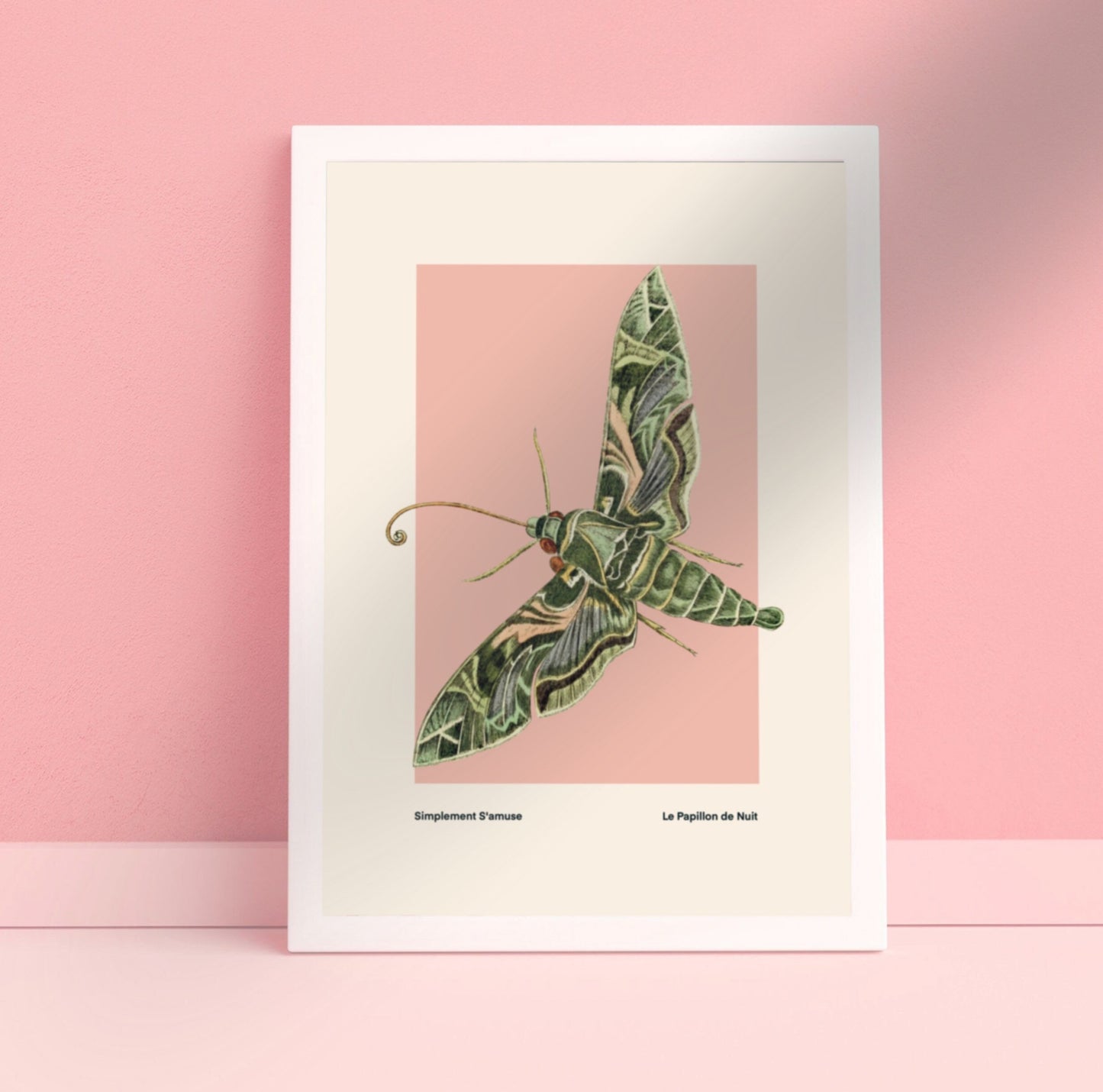 Night Moth | Unframed