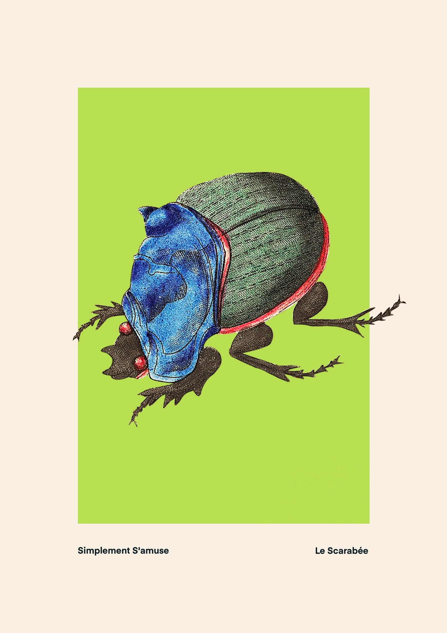 Lime Beetle | Unframed