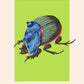 Beetle Art, Insect Print, French, Vintage Art, Bright Print, Gallery Wall Print, Bedroom, A5, A4, A3, A2, A1, A0, Green, Boho, Vintage
