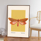 Yellow Moth | Unframed