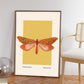 Moth Art, Insect Print, French, Vintage Art, Bright Print, Gallery Wall Print, Bedroom, A5, A4, A3, A2, A1, A0, Warm Colours, Boho, Vintage
