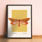 Moth Art, Insect Print, French, Vintage Art, Bright Print, Gallery Wall Print, Bedroom, A5, A4, A3, A2, A1, A0, Warm Colours, Boho, Vintage