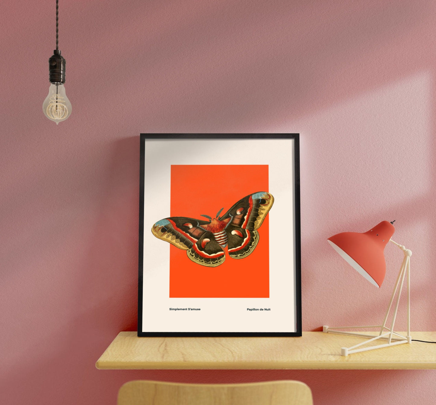 Butterfly on Orange | Unframed