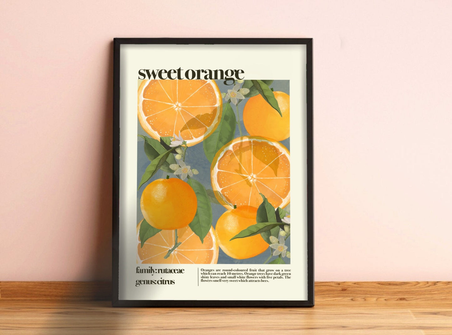 Sweet Orange | Unframed