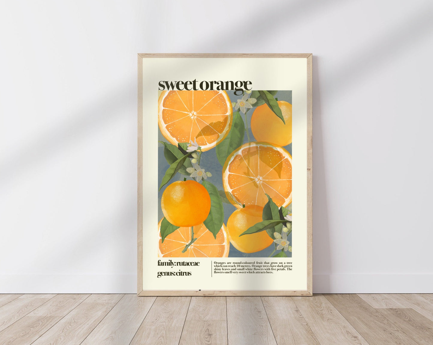 Sweet Orange | Unframed