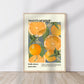 Sweet Orange / Orange Print / Fruit Print / Still Life / Summer Print / French Print / Fruit / Wall Art / Tropical Print / Botanical Print /