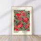 Pomegranate / Pomegranate Print / Fruit Print / Still Life / Summer Print / French Print / Fruit / Wall Art