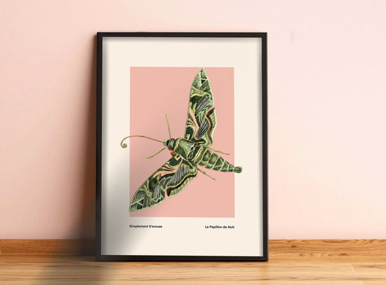Night Moth | Unframed