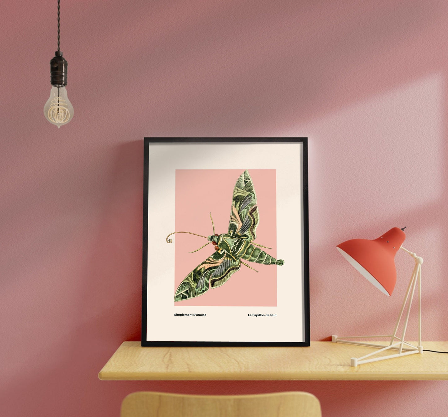 Night Moth | Unframed