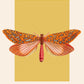 Yellow Moth | Unframed