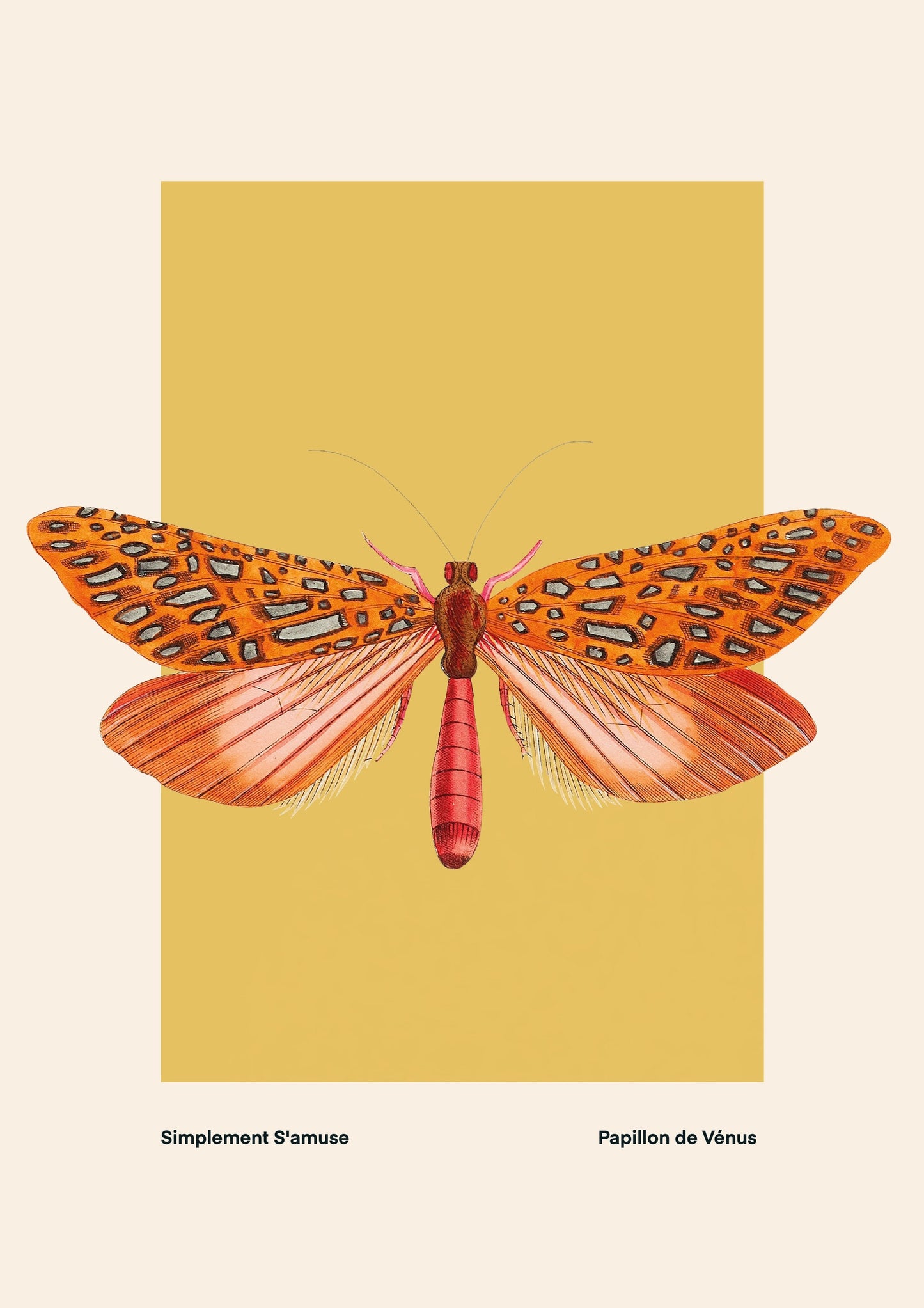 Yellow Moth | Unframed