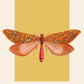 Moth Art, Insect Print, French, Vintage Art, Bright Print, Gallery Wall Print, Bedroom, A5, A4, A3, A2, A1, A0, Warm Colours, Boho, Vintage