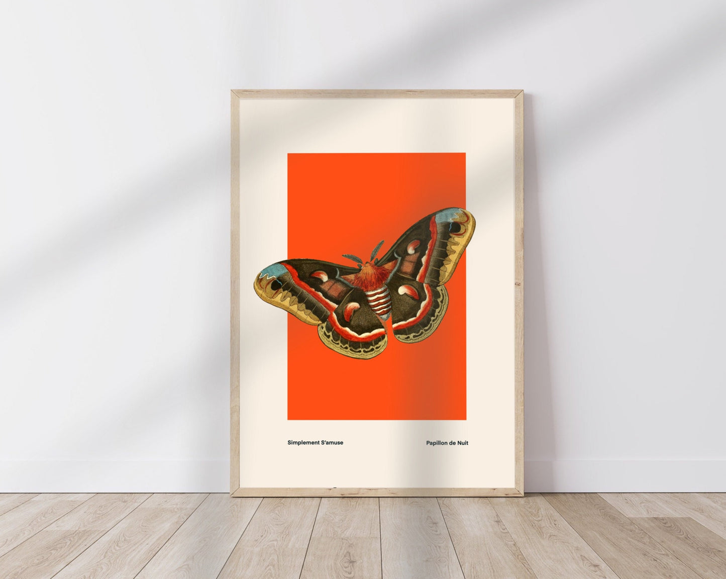 Butterfly on Orange | Unframed