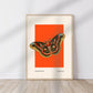 Butterfly Art, Insect Print, French, Vintage Art, Bright Print, Gallery Wall , Bedroom, A5, A4, A3, A2, A1, A0, Warm Colours, Boho, Vintage