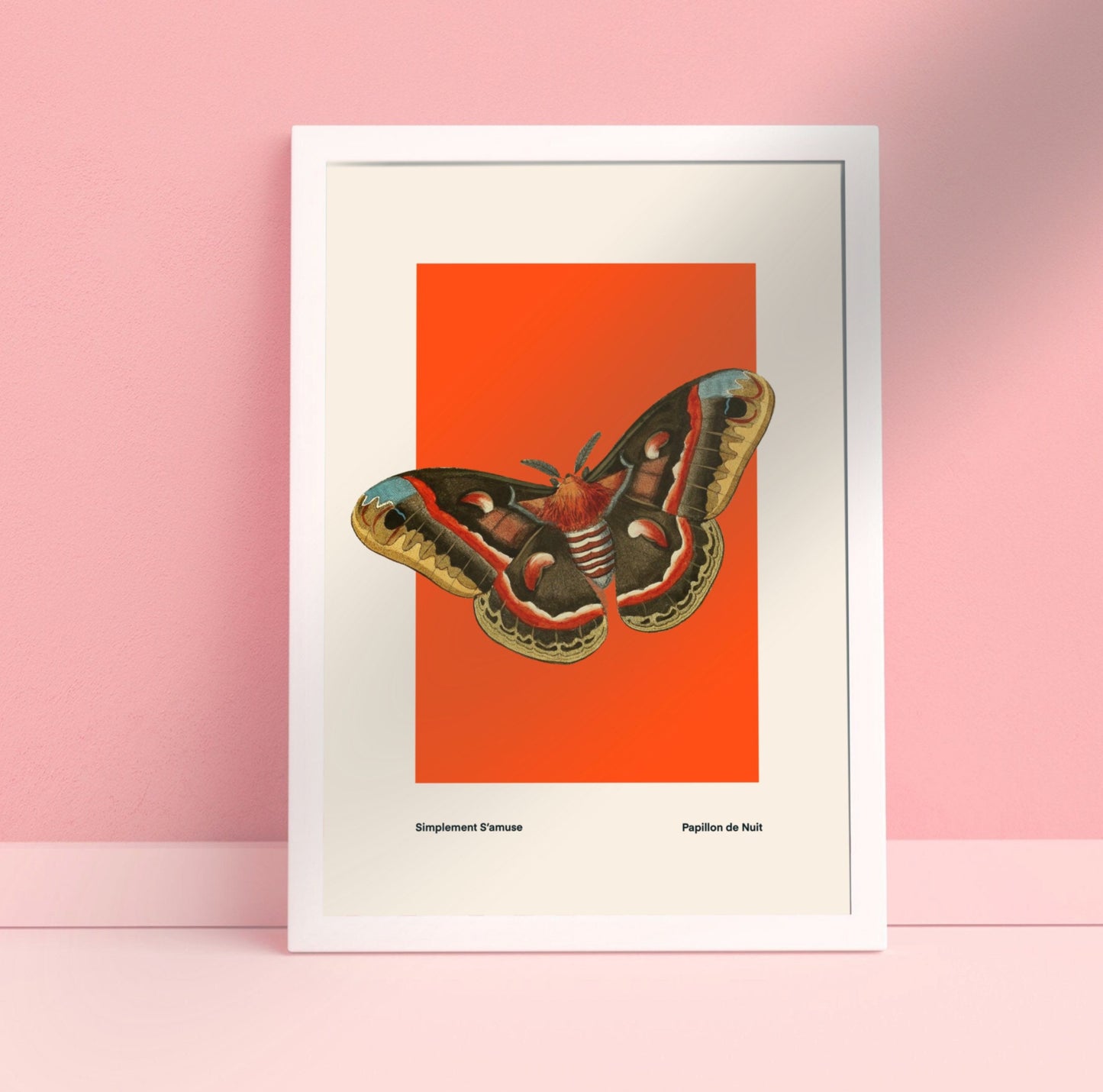 Butterfly on Orange | Unframed