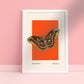 Butterfly Art, Insect Print, French, Vintage Art, Bright Print, Gallery Wall , Bedroom, A5, A4, A3, A2, A1, A0, Warm Colours, Boho, Vintage