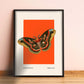Butterfly on Orange | Unframed