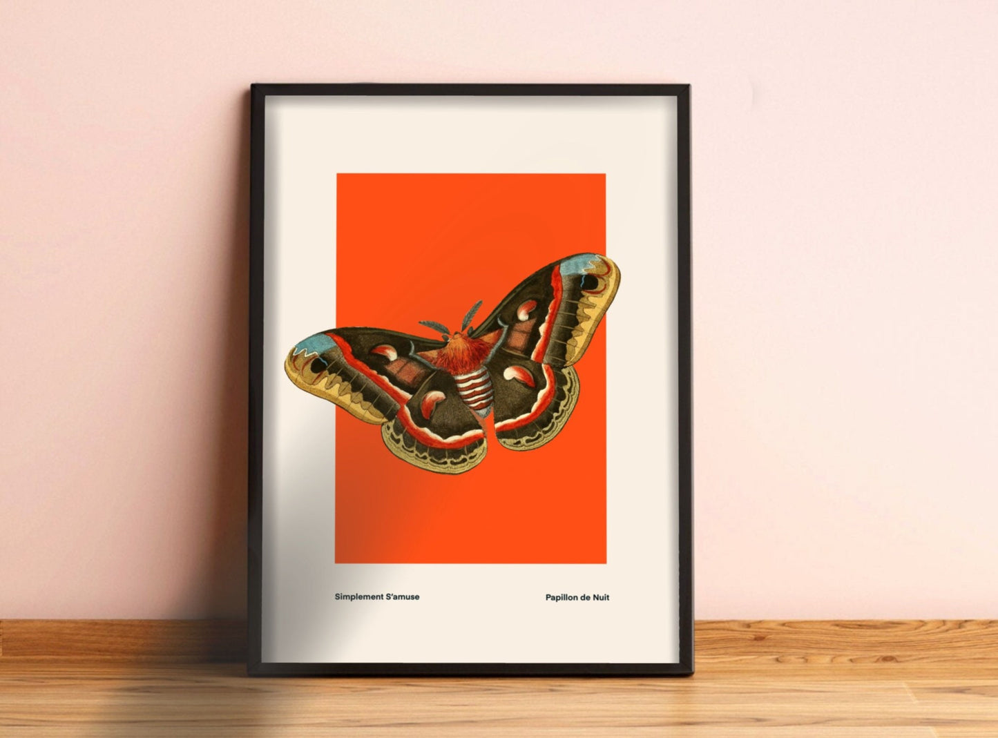 Butterfly on Orange | Unframed