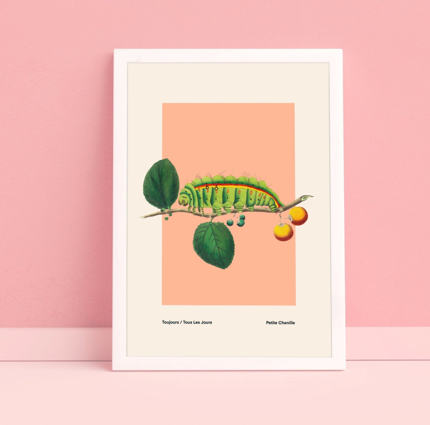 The Hungry Caterpillar | Unframed