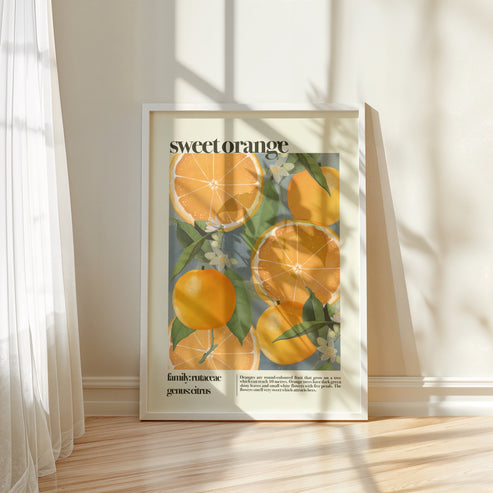 Sweet Orange | Unframed
