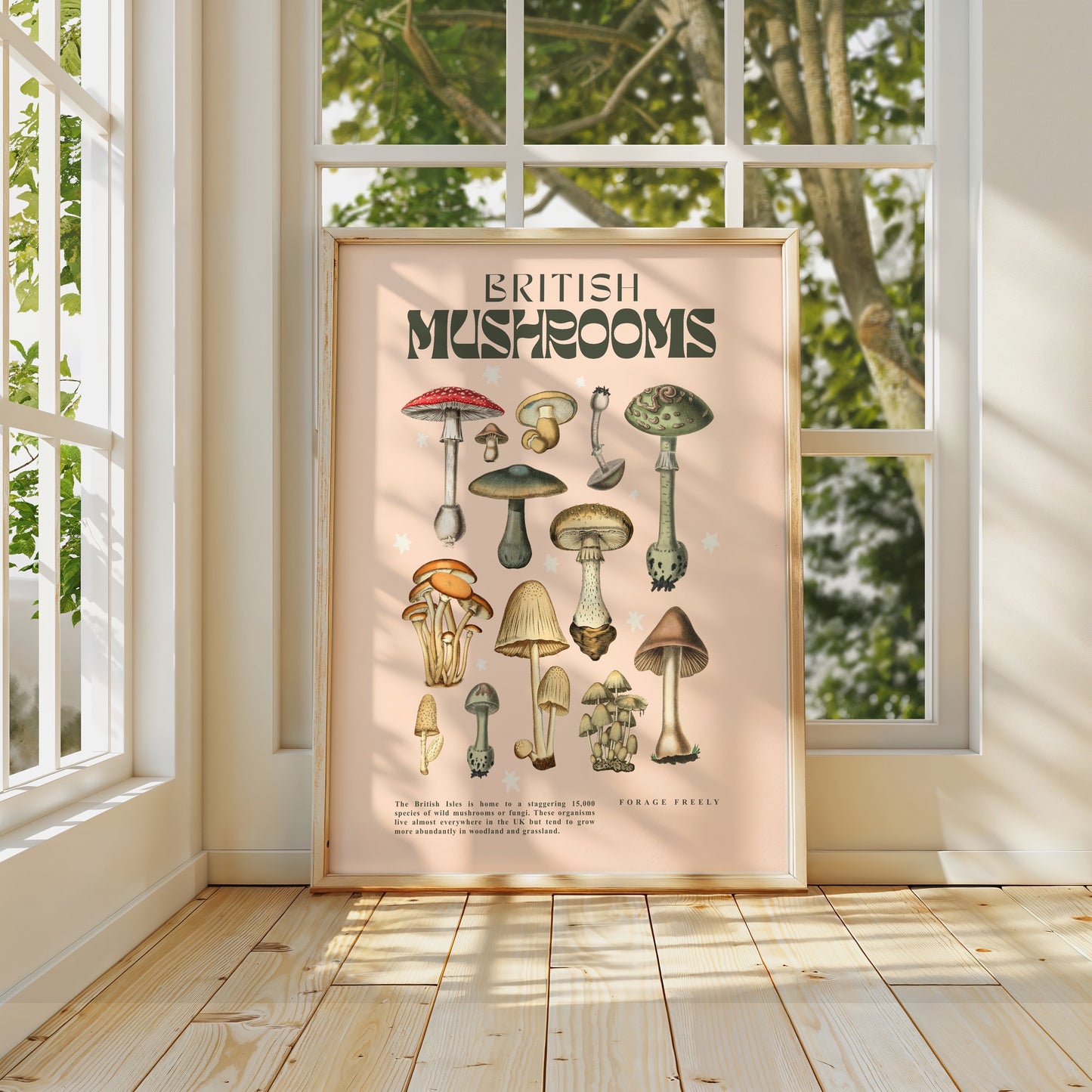British Mushrooms | Unframed