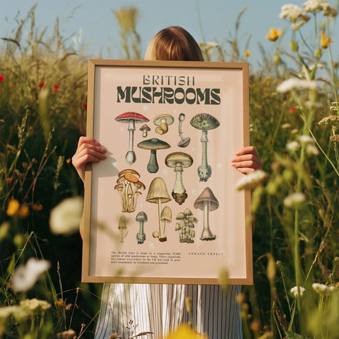 British Mushrooms | Unframed