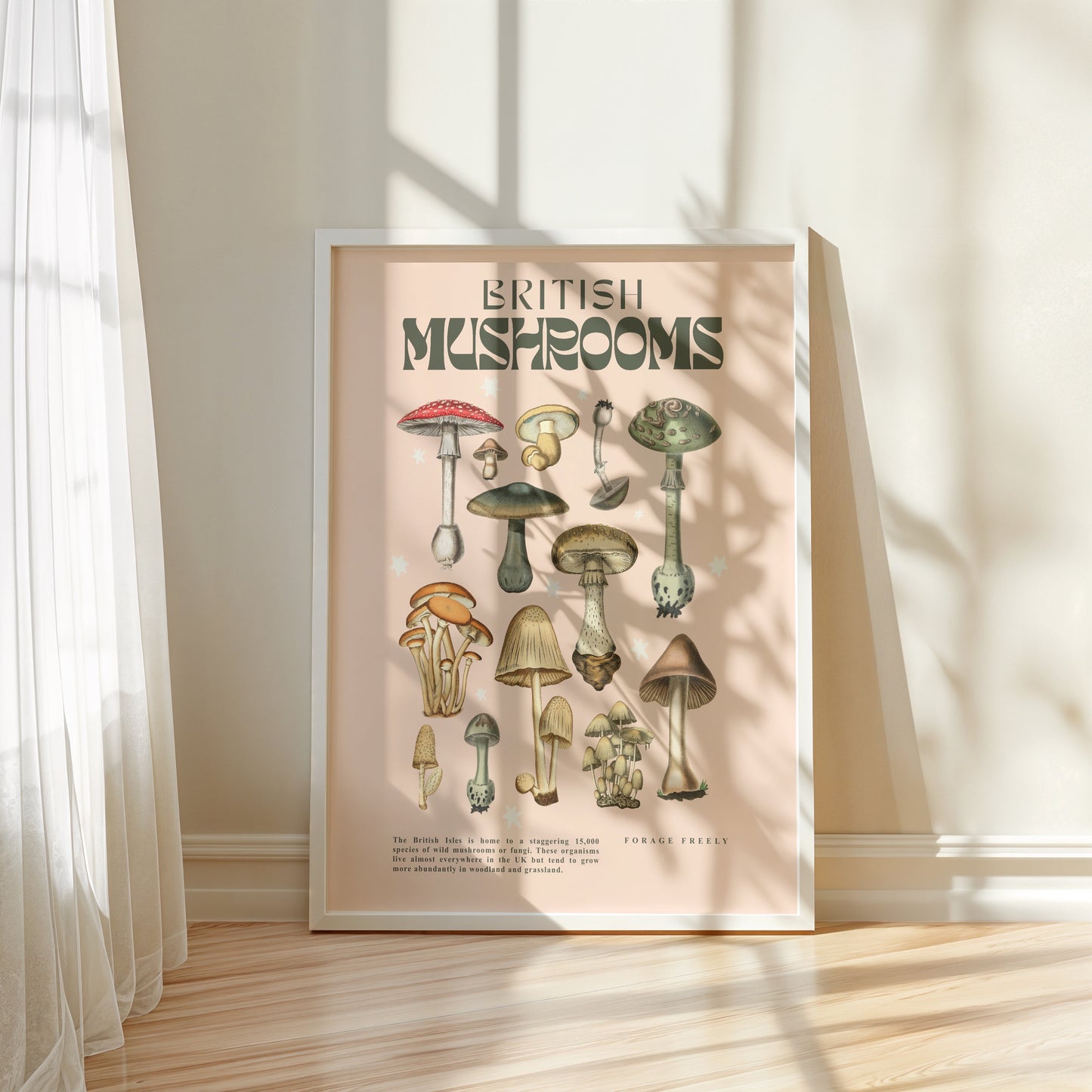 British Mushrooms | Unframed