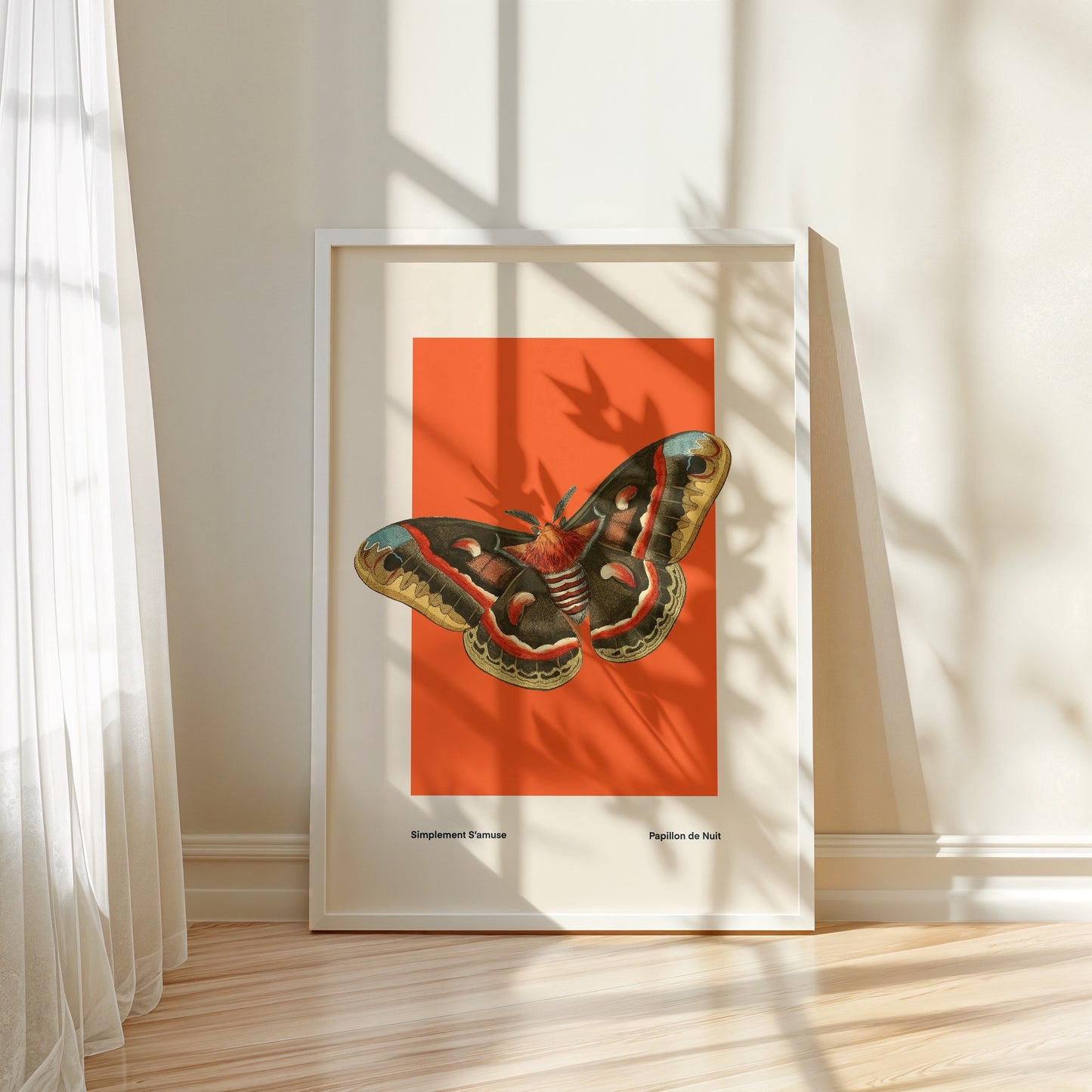 Butterfly on Orange | Unframed
