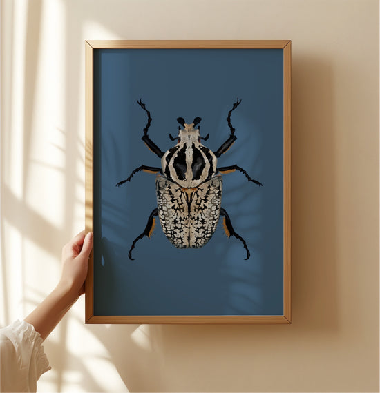 Goliath Beetle | Unframed