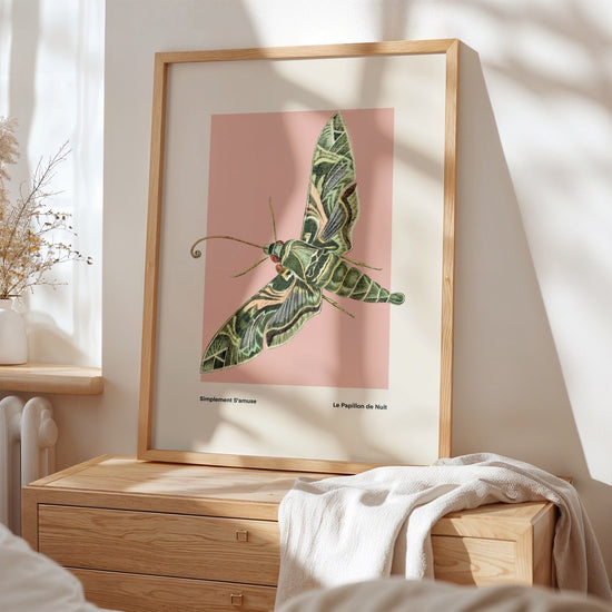 Night Moth | Unframed