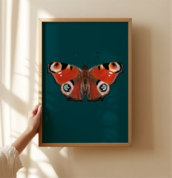Peacock Butterfly | Unframed