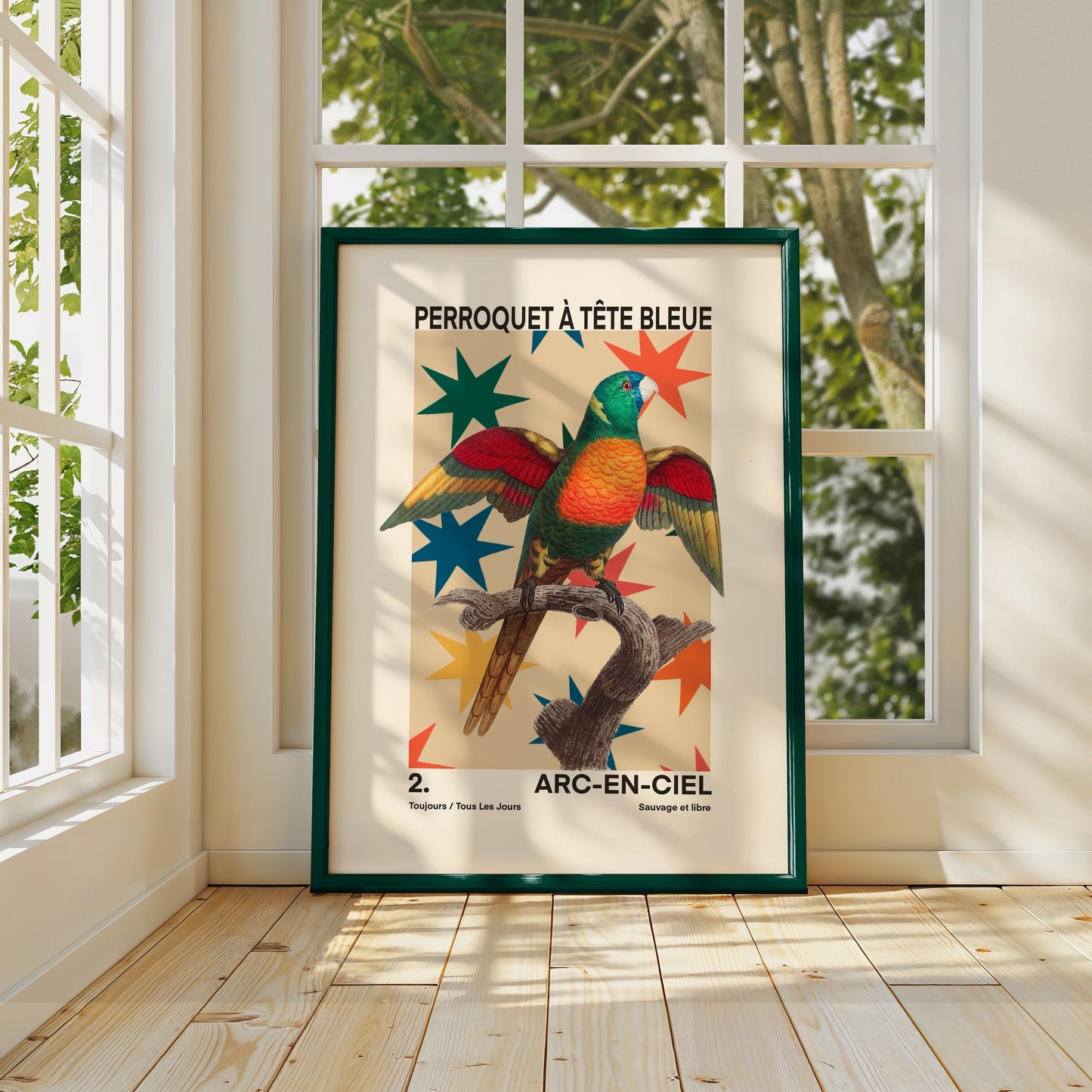 Parrot | Unframed