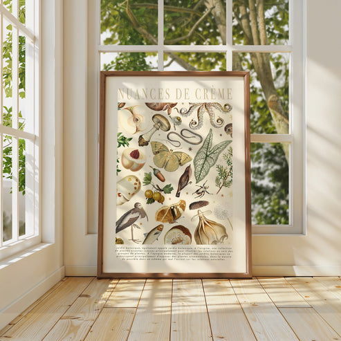 Shades of Cream | Unframed
