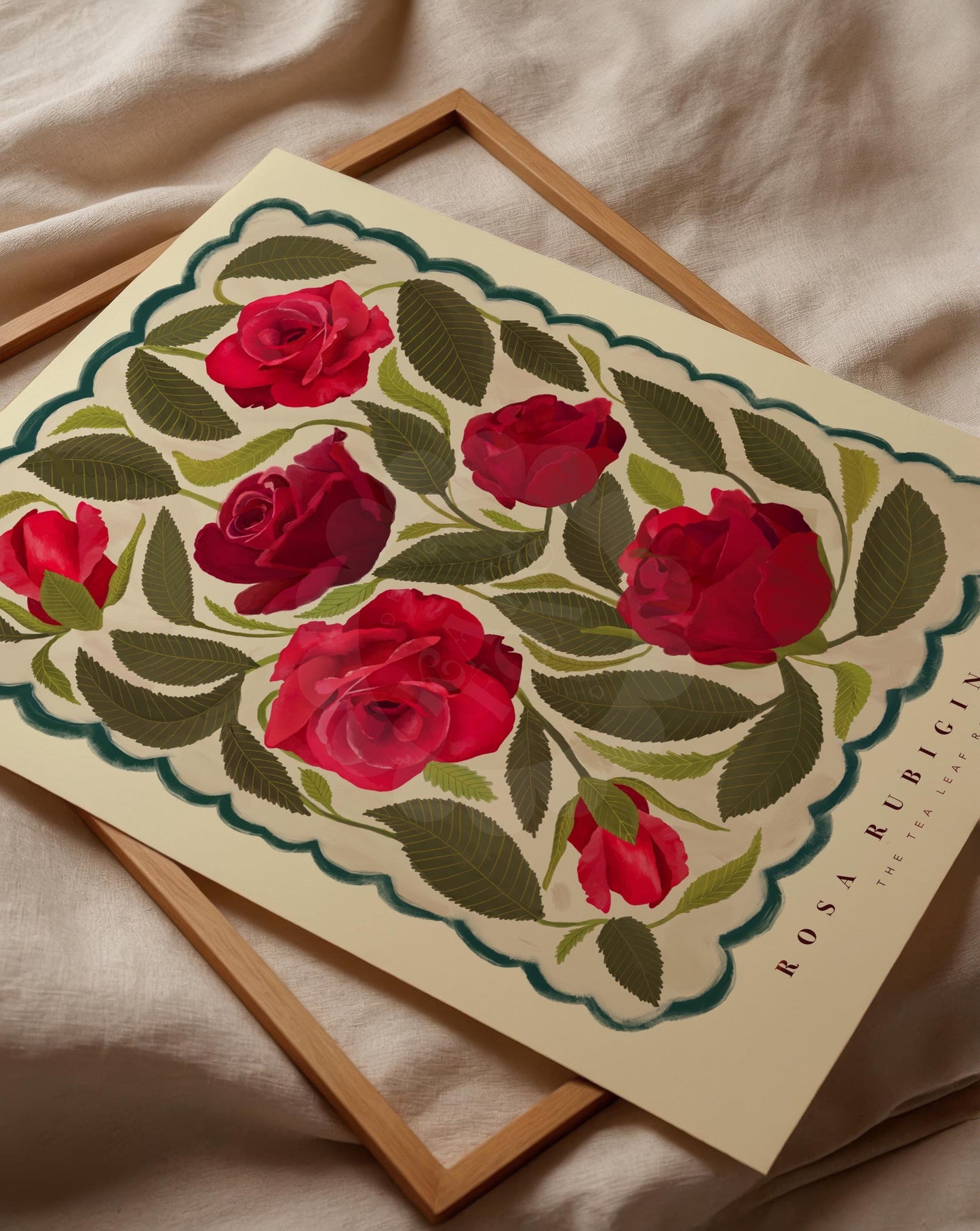 Red Rose Art Print: Colourful Handrawn Floral Illustration